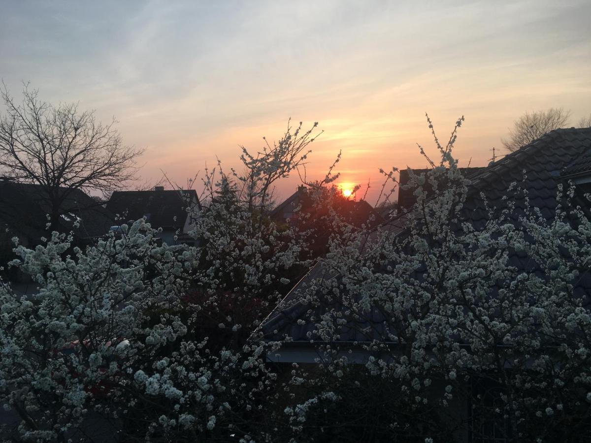 Spechtstrasse 65 Ferienwohnung Nordhorn Kültér fotó